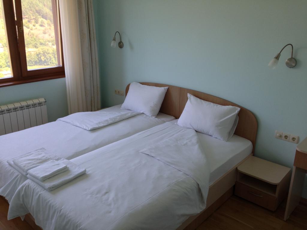 Mala Planina Guest House Iskrets Номер фото