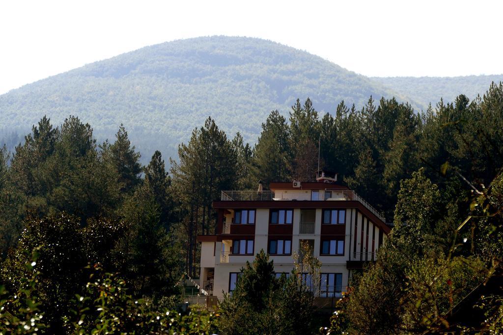 Mala Planina Guest House Iskrets Екстер'єр фото