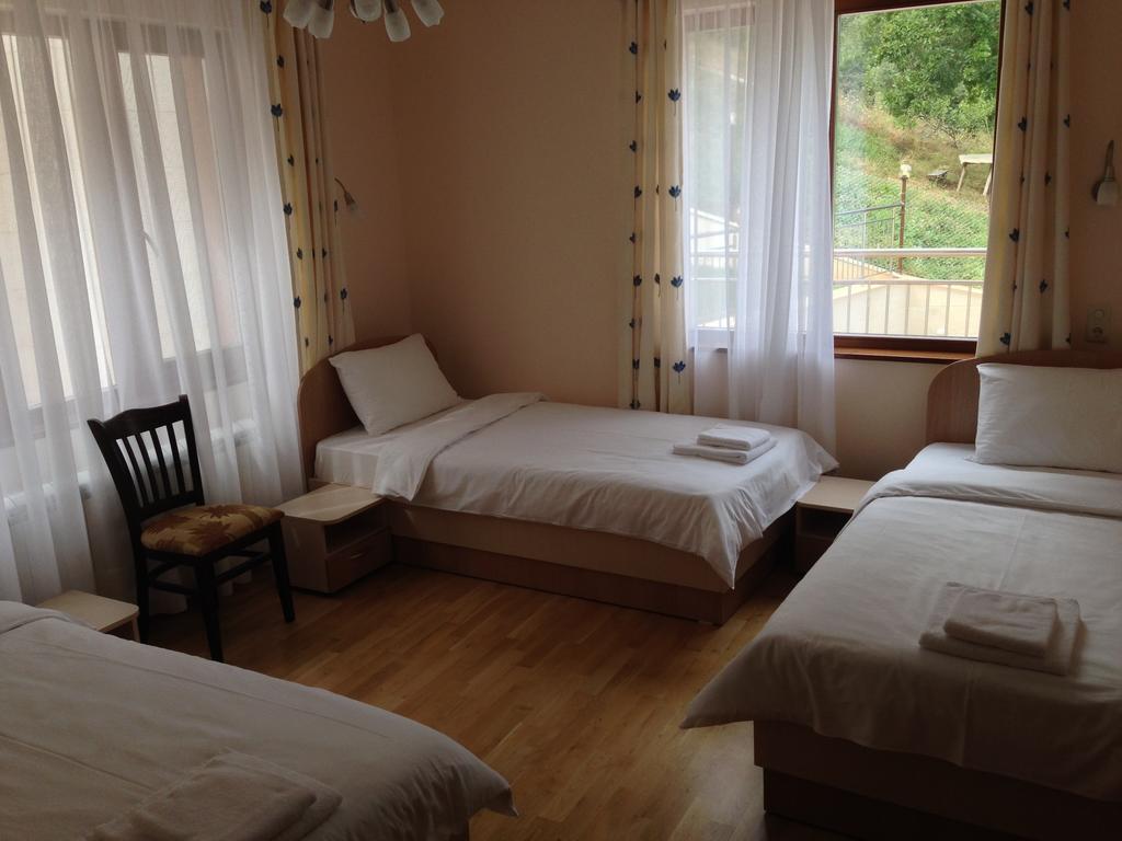 Mala Planina Guest House Iskrets Номер фото